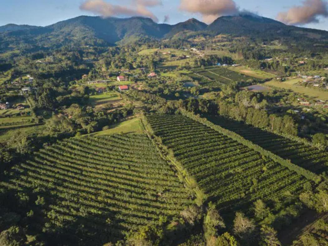Апартаменти Coffee Garden Ranch Costa Rica Concepcion  Екстер'єр фото